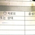 [꼭조언부탁] 데려온지 3일만에 고양이별로 떠났습니다.