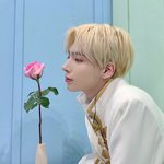 [TXT] 얘들아 나 실물 보고옴