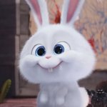 나 <b>복코</b>야??