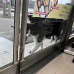 [댓글부탁해] 이거 혹시 <b>간택</b>해돌라는 뜻이야??