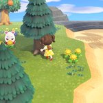 [ㅈㄱㄴ] 모동숲 뽀야미뜸ㅜㅜㅜㅜㅜ