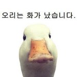 하.하유랔댓