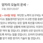 [세븐틴] 야 이거봐봐