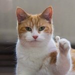 고1인데 인스타 들어갈때마다 <b>심란</b>함