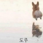 [조언부탁해] 동아리 ㅠㅠ