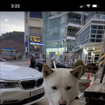 [드루와] 나 진짜 ㅈㄴ 싸가지앖게 생김