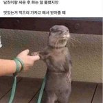 [댓글부탁해] 남친이 질린건가..?