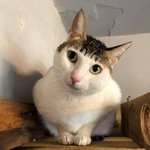 [19] ယှဉ်ထည့်လိုက်တာကွာ