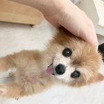 <b>역변</b>한 거 ㅈㄴ 슬퍼