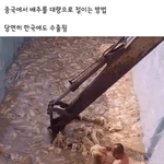 진짜 조카 충격이다 이거 봐...