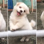 <b>시골</b> 똥강아지상이라하면 싫어하나?