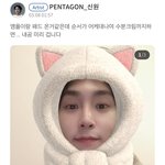 [펜타곤] 고시넌 fox맞다