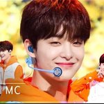 [트레저] 짱메들아 밤은 위험하다... 가시가...(더보기) 트레저...