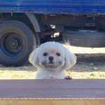 솔직히 <b>송파</b> 산다 그러면 잘산다 생각함?