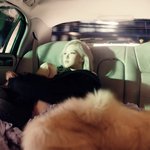 블핑 <b>로제</b> 티저