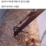 [댓글부탁해] 와 ㅁㅊ 이거 ㅈㄴ소름돋아