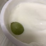 내 아침 보구가