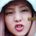통계학과 지망인데 <b>봉사</b>활동