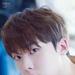 덩치에 상반되는 오밀조밀 이목구비