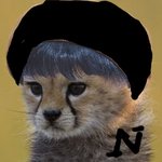 [NCT즌] 베레모맠을 <b>염원</b>하는 기도 1일차