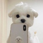 [댓글부탁해] !본인 <b>별명</b>이랑 이유 풀고가자!