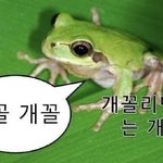 [진격의거인] 내가 파는 숨겨진 맛집 <b>씨피</b> 모음