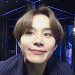 정우<b>부적</b> 효과
