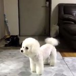 [NCT즌] 와 애들아 미텼다