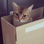 [강다니엘] 강다니엘 인스타업-오<b>무룩</b>