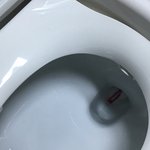 __나진짜 <b>자결</b>하고 싶어