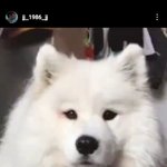 [김재중] <b>서방</b> 인스타 질문