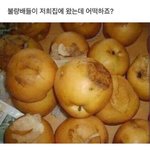 [19] 너넨 남친 얼굴 빻았어도 ㄱㄴ함?