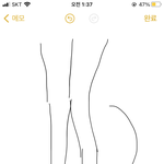 [이것좀봐줘] <b>이</b> 다리<b>모양</b> 고관절 없어서 그런거지?