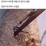중국에서 <b>배추</b> 절이는법
