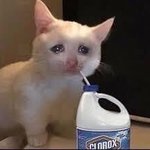 [진격의거인] 와<b>타시</b>와 츠요이