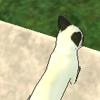 [<b>레이</b>] 사담)