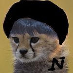 [NCT즌] 어제 주운 베레모맠 짤로 베레모맠 <b>염원</b>2일차