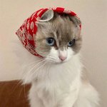 그냥 지나칠 수 없을 '<b>성냥</b>팔이 야옹이'