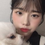 블러셔 잘 아는사람