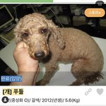 <b>스트릿</b>출신 코코자랑사진(사진추가)