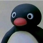 이정도면 숙대생 짝사랑하다가 까여서 저러는거아님?