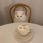 오늘부터 <b>컨셉질</b>한다