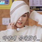 [NCT즌] 아ㅋㅋㅋㅋㅋㅋㅋㅋㅋㅋㅋ이거 지금 봄