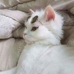 [댓글부탁해] <b>질투</b>날 때