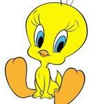 <b>니나</b>니나니