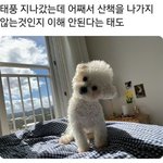 [드루와] 두시간동안 독서실에 더 있을건데