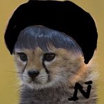 [NCT즌] 나 베레모 마크 양도 받음