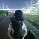 [고양이] <b>그레이</b>
