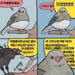 [빅뱅] 어디서 주운건데 ㅇㄱㄹㅇ임ㅋㅋㅋㅋ