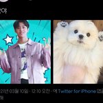 [펜타곤] 아 이거 <b>홍시</b>랰ㅋㅋㅋ